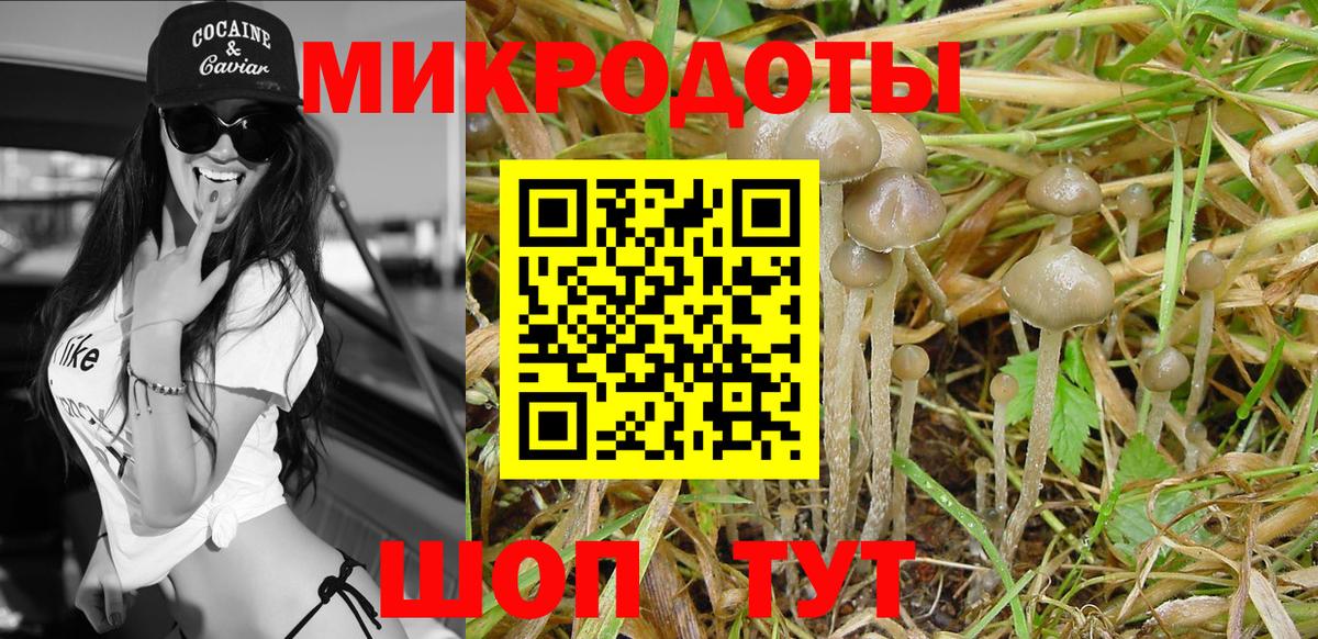 Галлюциногенные грибы мицелий  Вход с VPN  Котовск 