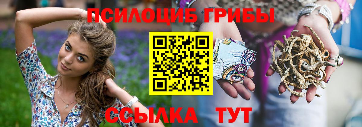 Псилоцибиновые грибы GOLDEN TEACHER Котовск