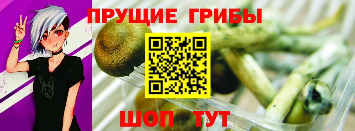 A-PVP Котовск